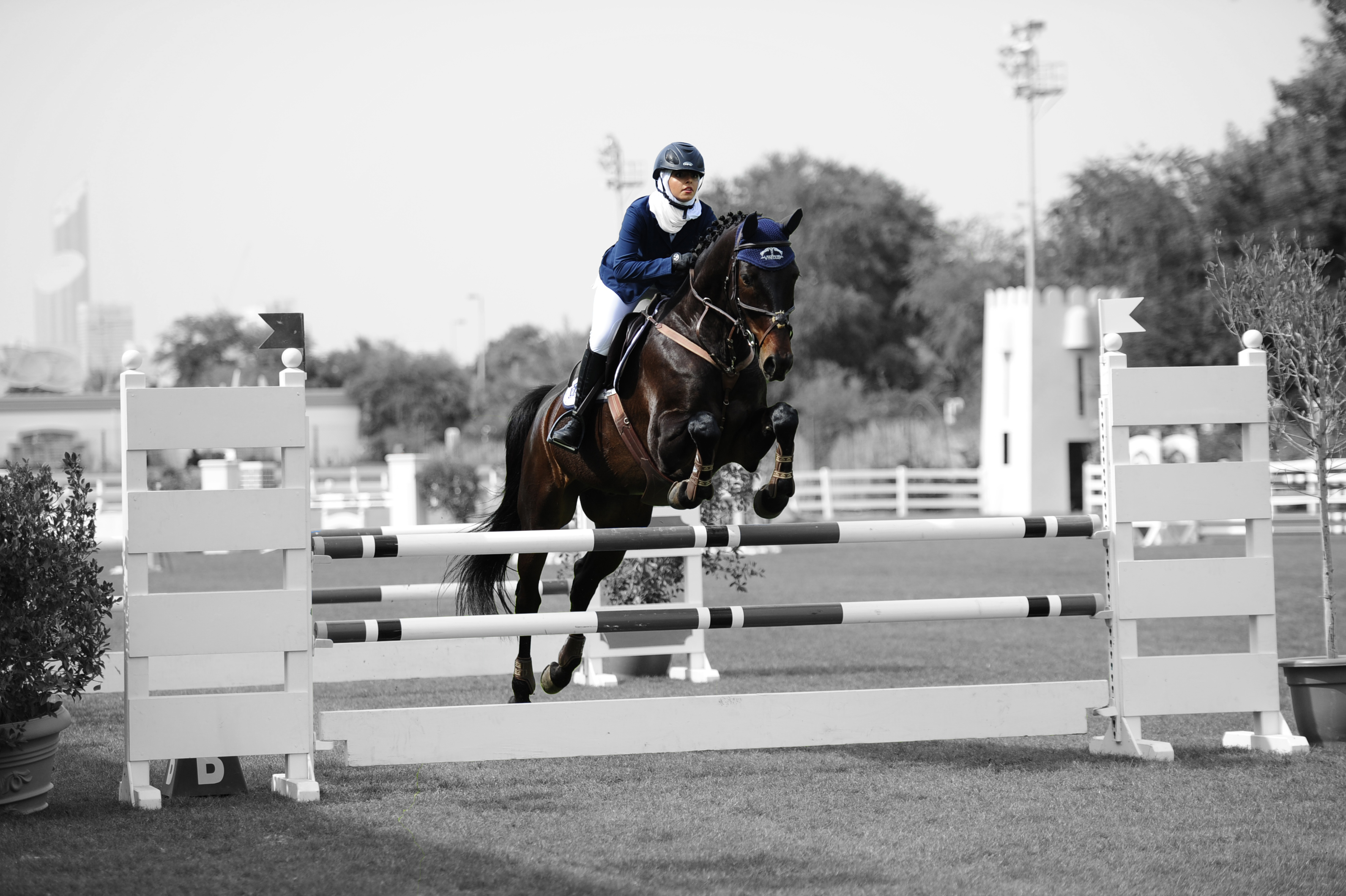 7TH FBMA INTERNATIONAL SHOW JUMPING CUP